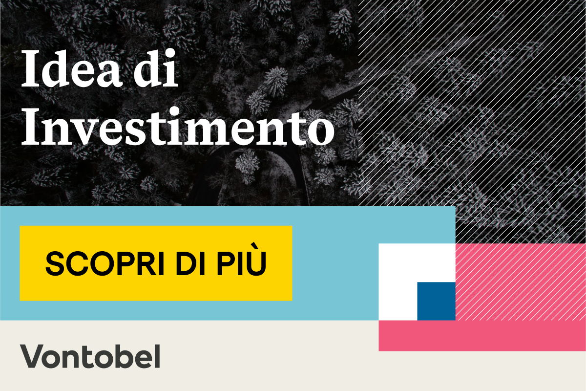 Idea di investimento